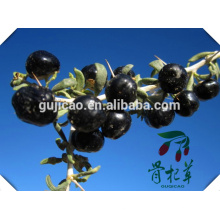 Baya de Goji negra secada certificada orgánica al por mayor de China
